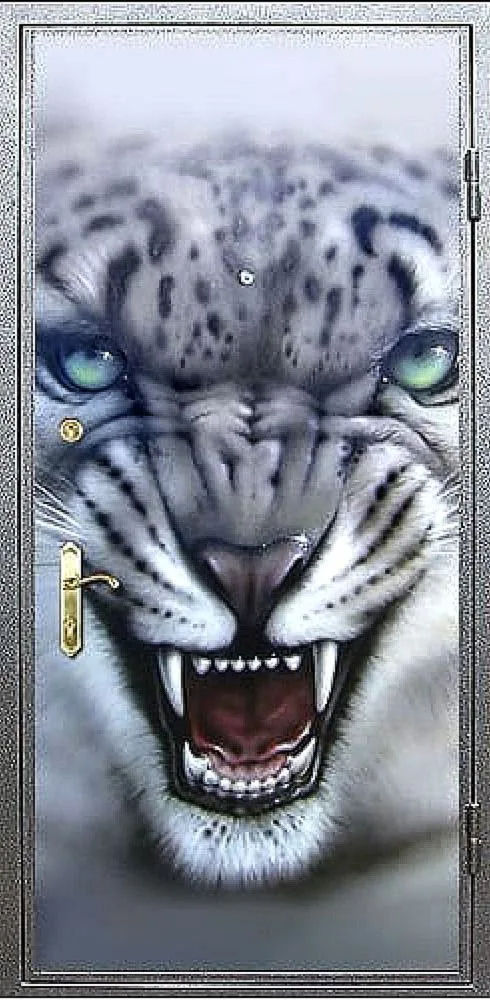 Входная дверь Zerda-9 (Фотопечать / МДФ Шпон) - внешняя сторона